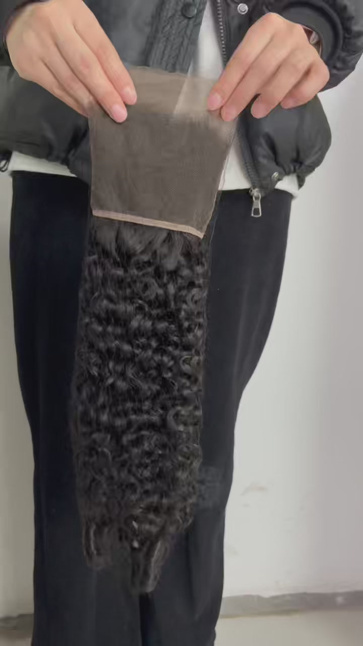 burmese curl HD frontal